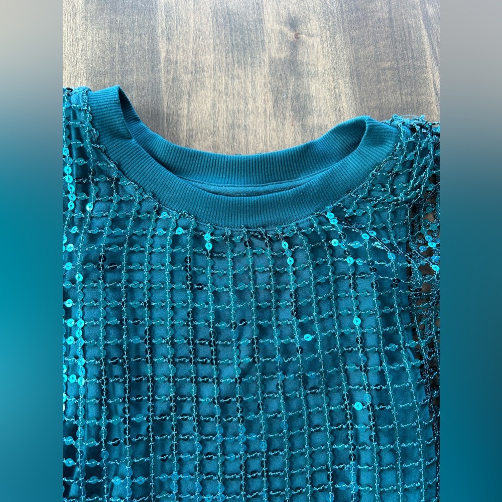Pilcro Long-Sleeve Sequin Top by Antropologie 💚⭐️⭐️ - Picture 8 of 12